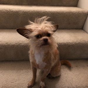 Meet your Posher, Rosemary